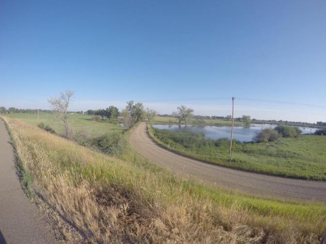 11705208_10207094912431455_8877432492235352600_n