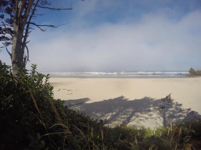 13880300_10210104175461150_7055884965568729960_n