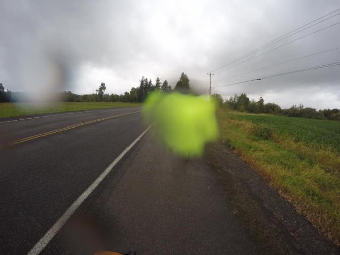 13900137_10210070062088337_4591914438113645716_n