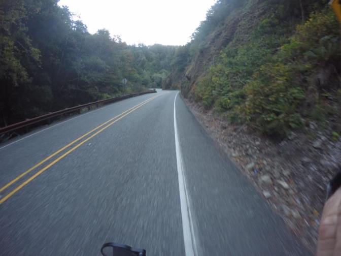 13932868_10210146685603877_6637690518627743837_n