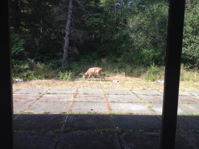 13934865_10210129425092375_5339672717088882066_n