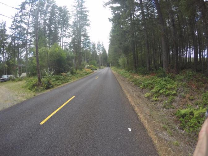 13962526_10210061458553254_2154131628382295758_n